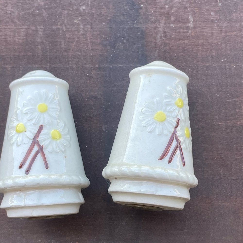 Vintage Cottagecore Daisy Floral Ceramic Salt and Pepper Shakers kitchy